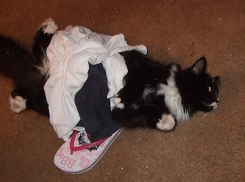 Slash wearing my undershirt and socks from work.