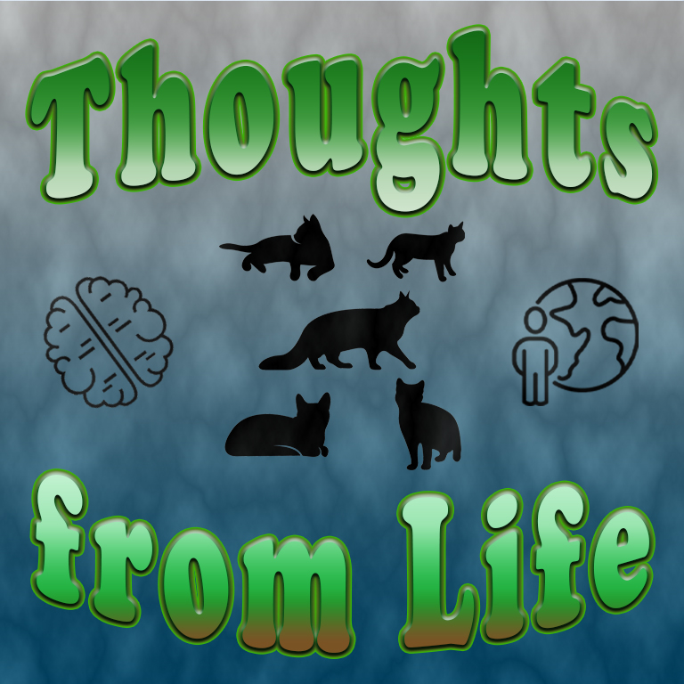 Five Cats – Thoughts from December 5 and 6, 2022