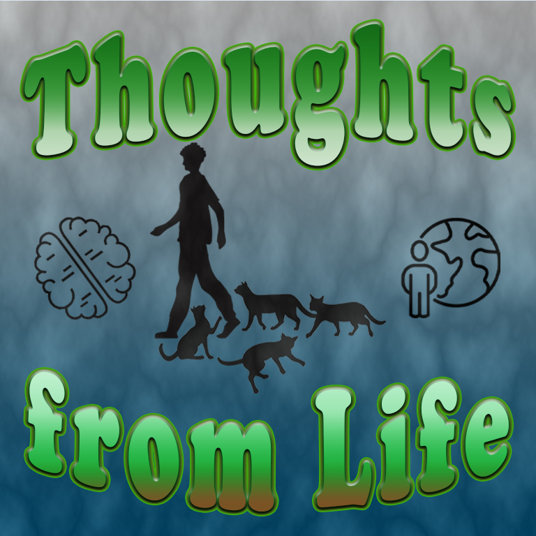 Followed by Cats – Thoughts from January 8 to 14,&nbsp;2023