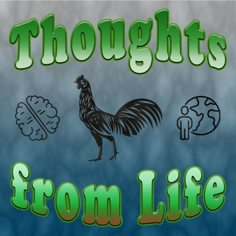 Our Hermit Crab, Peacock, and Rooster Friends – Thoughts from June 16 to 18,&nbsp;2023