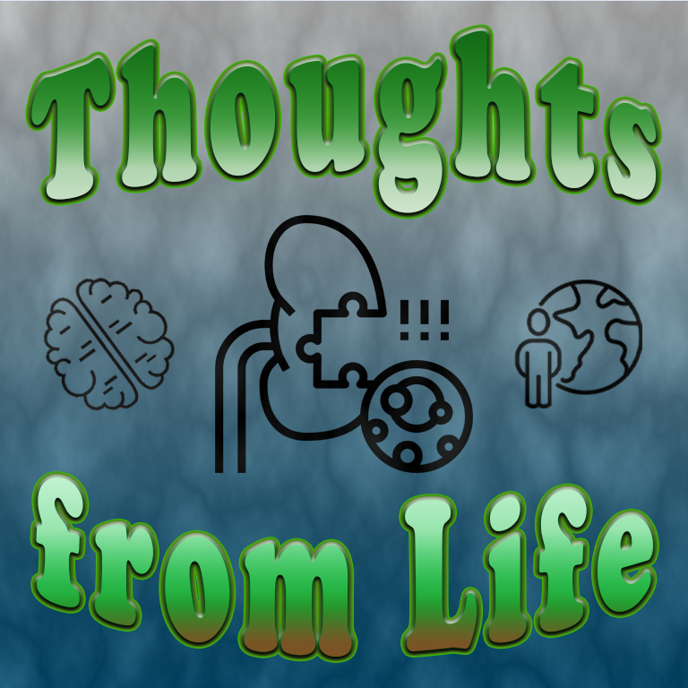 Kidney Stones and Vehicle Emblems – Thoughts from August 7 and 13, 2023