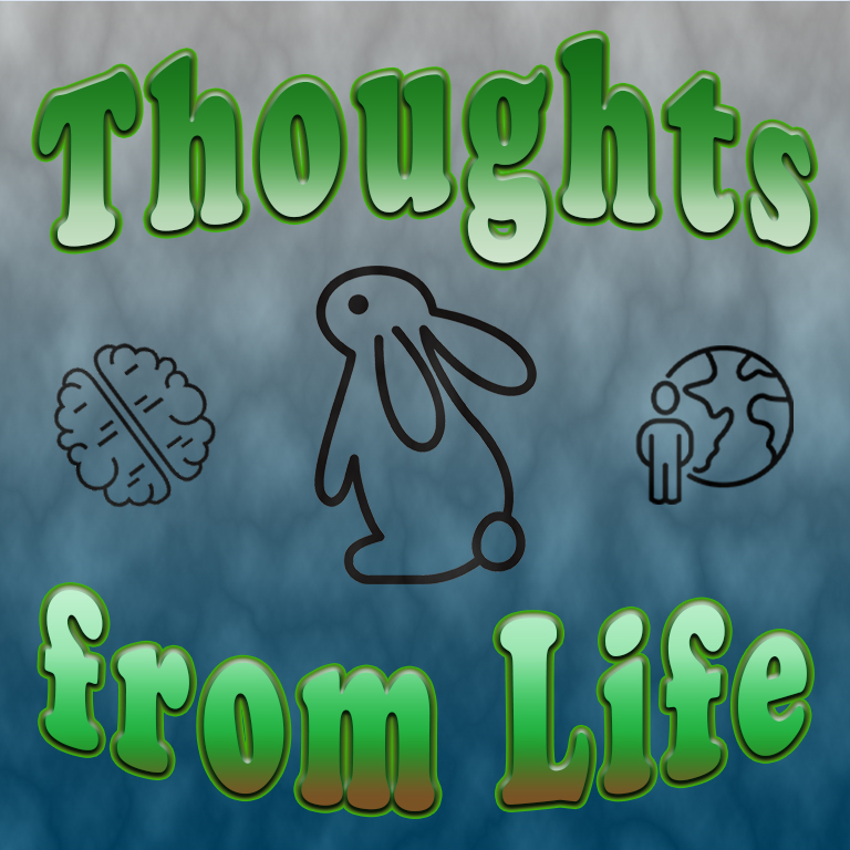 Not Our Bunny or Our Holidays – Thoughts from October 21 and 22,&nbsp;2023