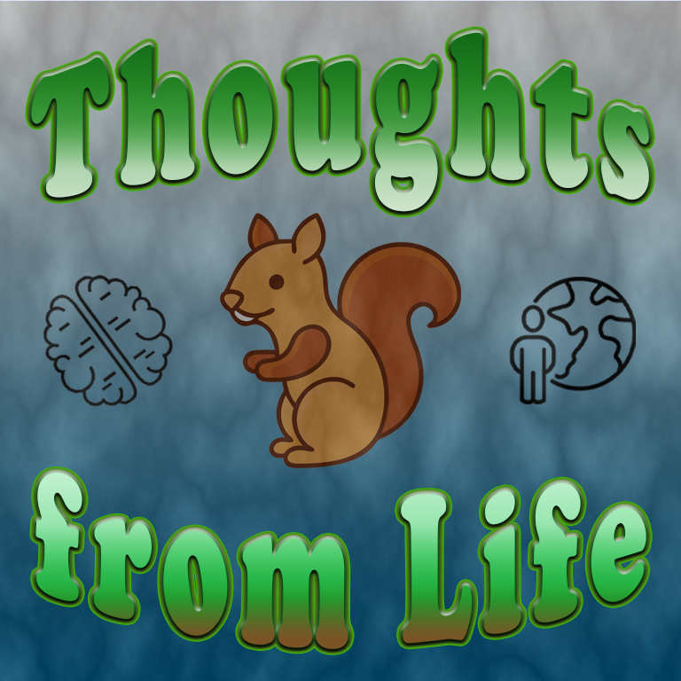 Route 66, Tepee Hotels, and Squirrel Puppets – Thoughts from September 17, 2024