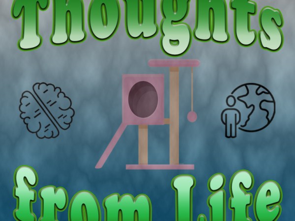 Christmas, Cats, and a New Cat Tree – Thoughts from December 25,&nbsp;2024