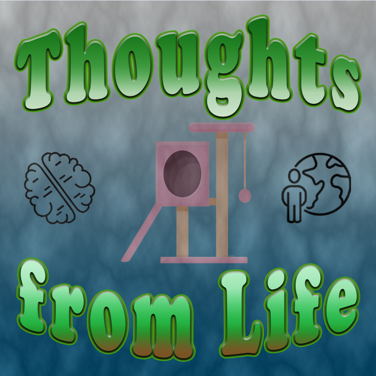 Christmas, Cats, and a New Cat Tree – Thoughts from December 25, 2024