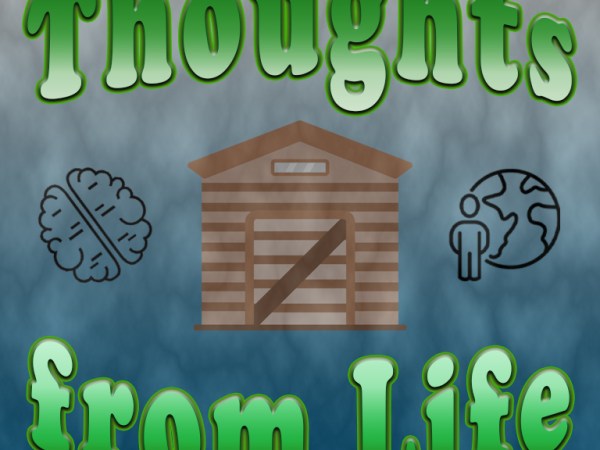 Out with the Old Shed, In with the New – Thoughts from December 27,&nbsp;2024