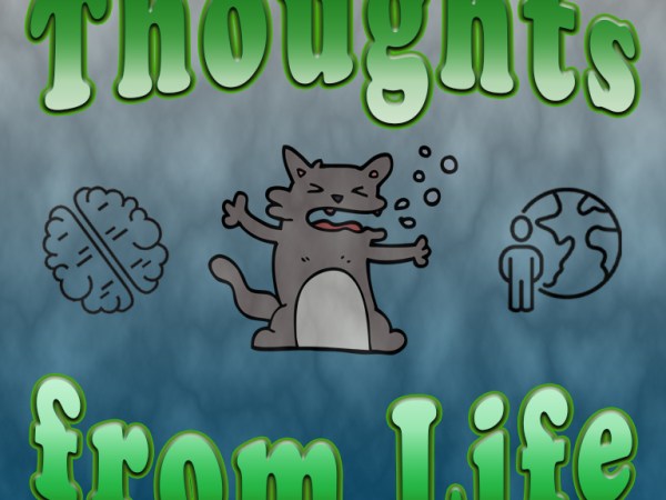 Choking Cats, Surgery Prep, and Heart Bushes – Thoughts from May 18,&nbsp;2025