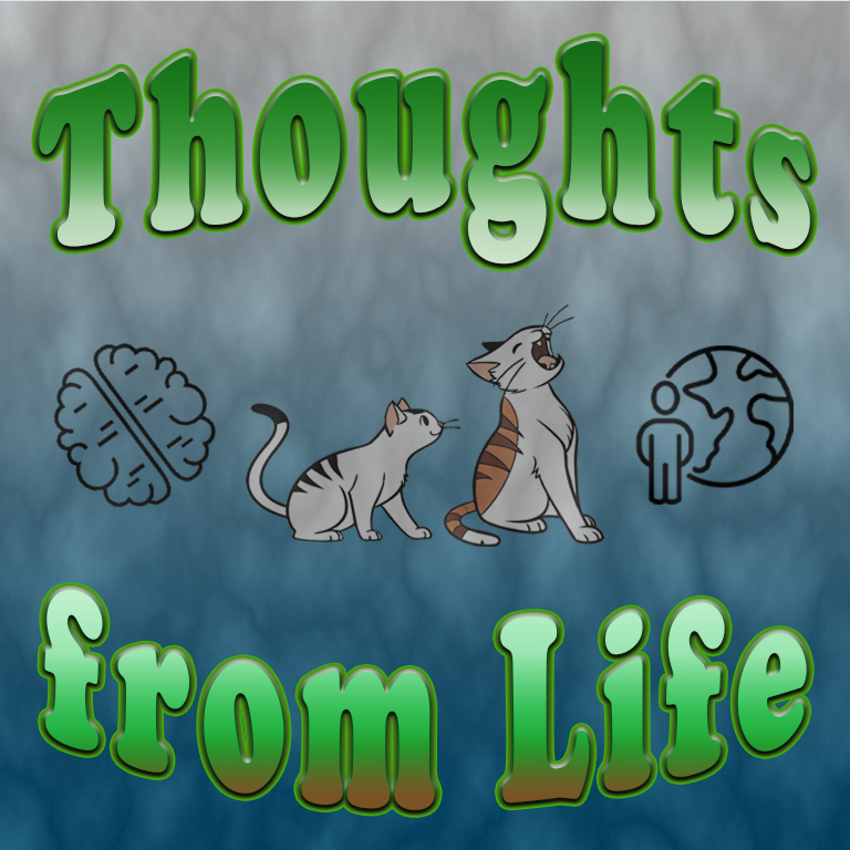 Kitchen Remodel, New Tools, and Outside Cats – Thoughts from August 23,&nbsp;2025