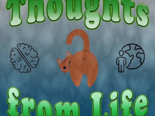 Continued Remodeling, No Kings, and Outside Cats – Thoughts from October 19, 2025 – Part&nbsp;2