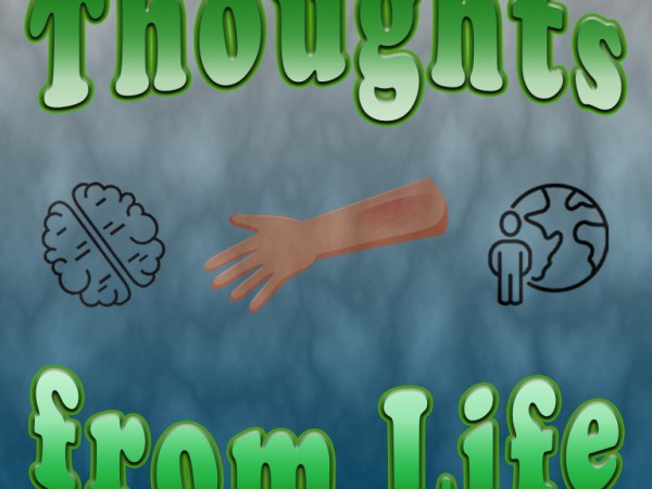 Upper Cabinets, Corner Cabinets, and Nature’s Body Glue – Thoughts from October 19, 2025 – Part&nbsp;1