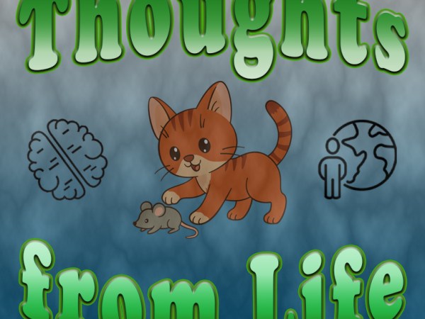 Playing with Mice, the Mean Streets, and Infections – Thought from November 11,&nbsp;2025