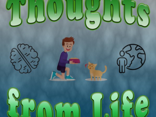 Stealing Archie’s Food, Relocating Animals, and Happy Endings – Thoughts from December 9,&nbsp;2025