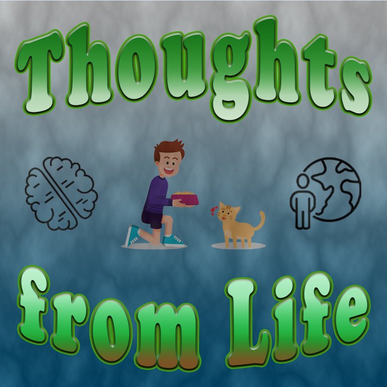 Stealing Archie’s Food, Relocating Animals, and Happy Endings – Thoughts from December 9, 2025