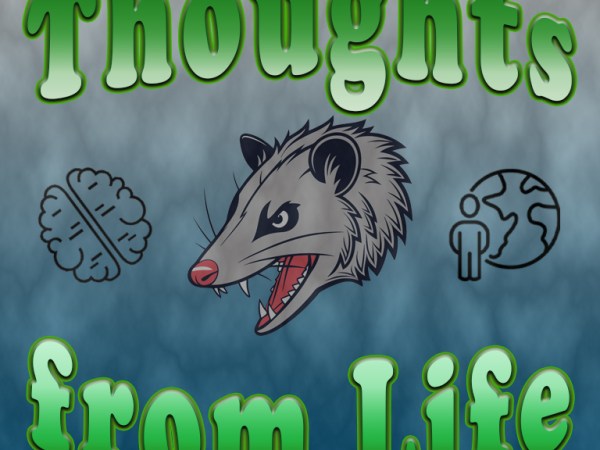 Fugitives, Relocating, and a Possum Named Steve – Thoughts from January 10,&nbsp;2026